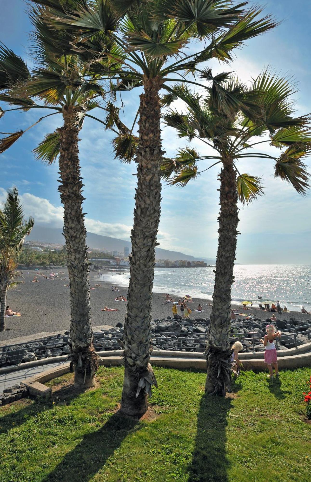 Sol Puerto De La Cruz Tenerife Hotel Létesítmények fotó